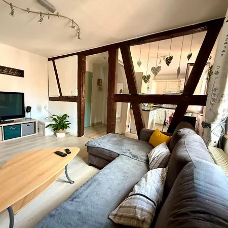 Le Nid Du Veilleur-6 Kms De Colmar * Turckheim